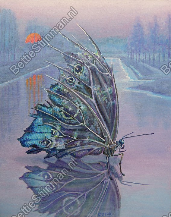 <head>Wintervlinder / Butterfly in winter</head>