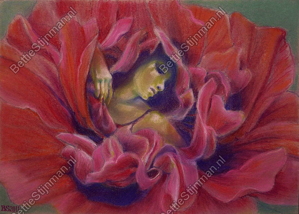 <head>Papaverdanseres / Poppy dancer</head>