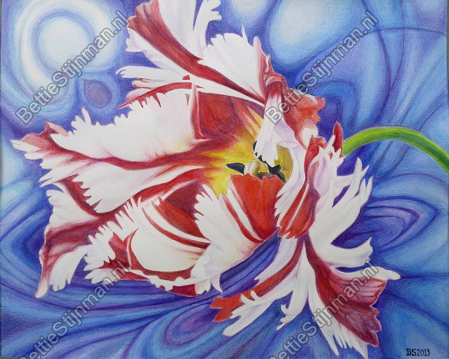 <head>Parkiettulp 4 / Paroquet tulip 4</head>